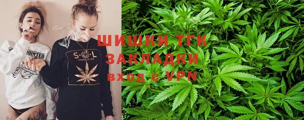 не бодяженный Белокуриха